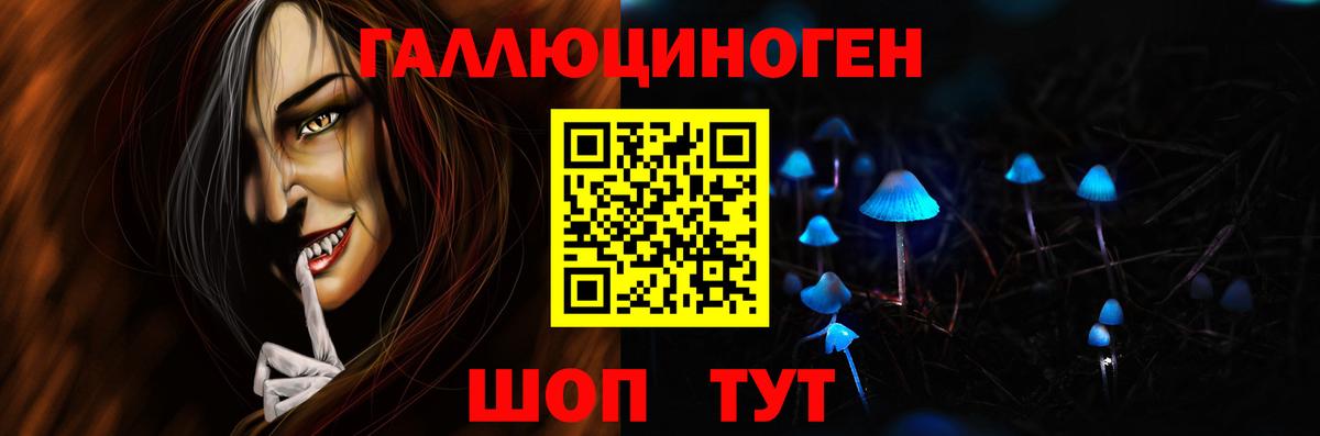 Галлюциногенные грибы GOLDEN TEACHER  купить наркоту  Жуковский  Вход с VPN 